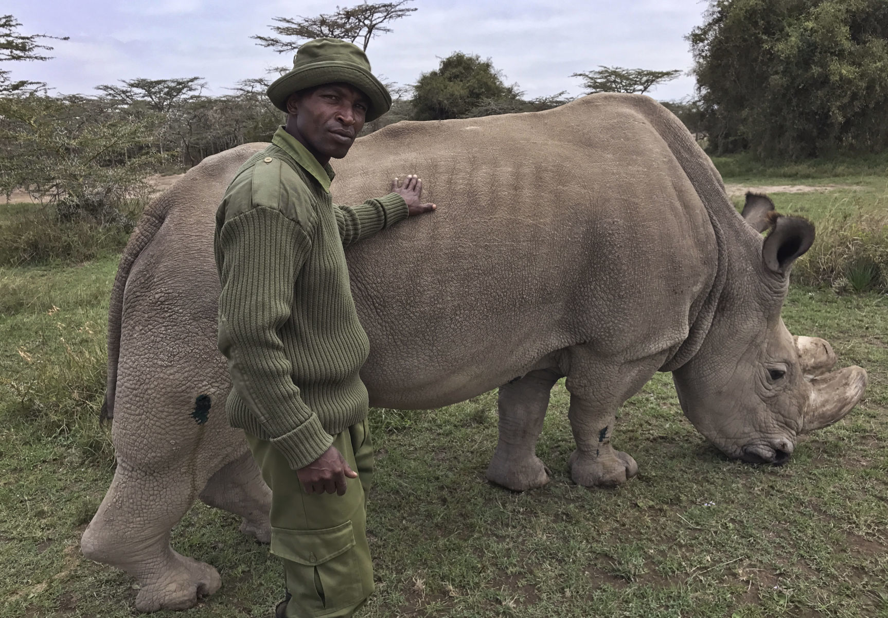 Kenya Ailing Rhino